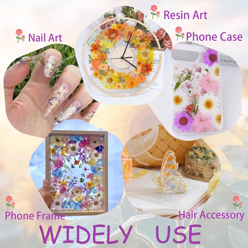 Xinxinran 40Pcs Pink Dried Pressed Flowers for Crafts, Dry Flowers Kit for Resin Molds,Epoxy Resin Accessories,Bookmark,Nails, Jewelry Molds,Candle Making Supplies,Soap,Frame,Cakes - Image 3
